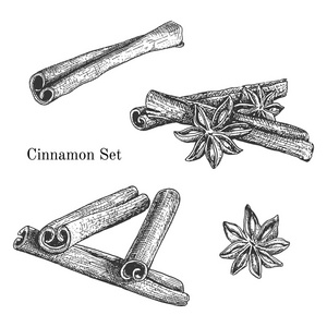 墨水手绘制肉桂集图片