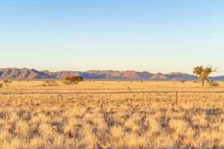 在纳米比亚的日落景观