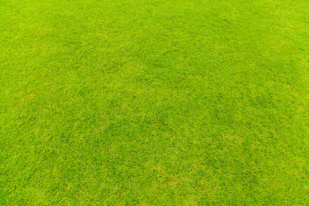 公园鸟瞰图天然中草药健康人养生矢量标志设计模板天然的清洁草地和