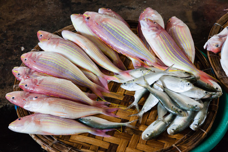 在海鲜市场的新鲜鱼.越南照片