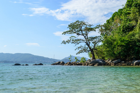 美丽的大海和蓝天在泰国的普吉岛安达曼海扬海滩