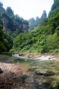 神秘的山脉在中国湖南省张家界市省