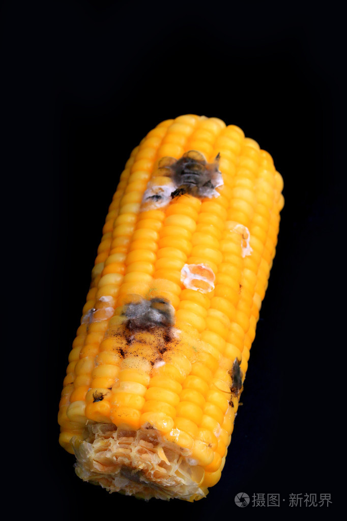 玉米烂在黑色背景上