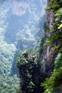 神秘的山脉在中国湖南省张家界市省