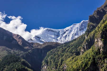 雪山峰山和树之间