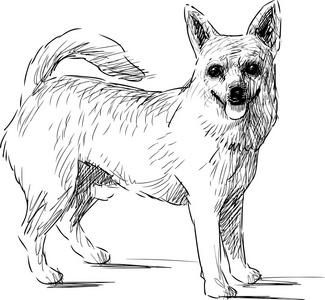 狗素描图片-狗素描素材-狗素描插画-摄图新视界