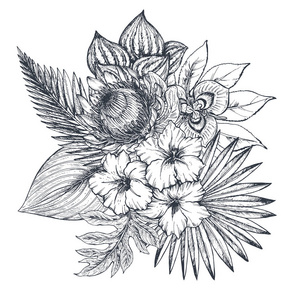 矢量组成的手绘热带花卉, 棕榈叶, 丛林植物照片