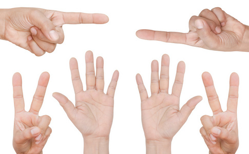 手手指在白色背景上照片