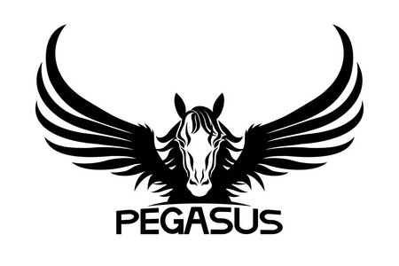 飞马座的标志照片