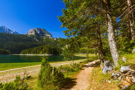 黑湖 Crno 湖 在杜尔米托尔黑山