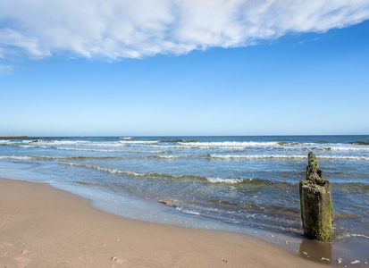 海滩的波罗的海，波兰与腹股沟