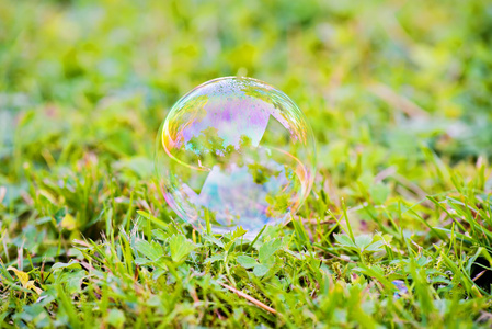 草地上的肥皂泡沫图片