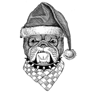 牛头犬穿着圣诞帽子新的一年平安夜圣诞快乐和新年快乐动物园生活假期庆祝圣诞老人帽子