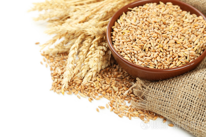 小麦和小麦籽粒在白色背景上碗的耳朵