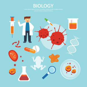 生物学背景教育概念平面设计图片