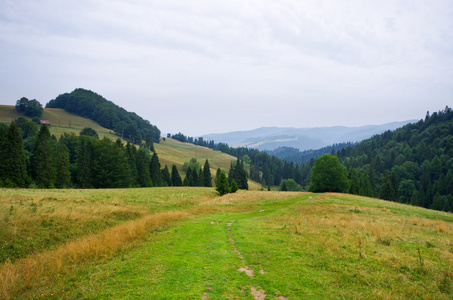 在 Pieniny 山农村