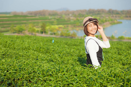 亚洲女人茶园