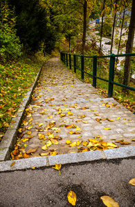 在卢森堡的石头通路走道路径图片