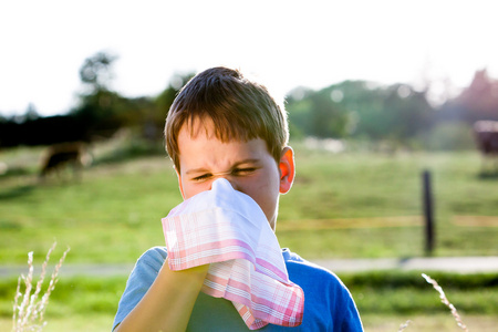 虽然你在擤鼻子一块白手帕在自然中的花粉过敏的孩子图片