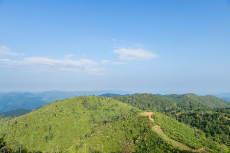 天空 森林和山