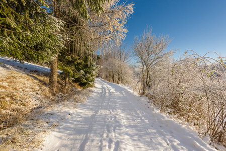 下雪在山区道路上阳光和寒冷的一天