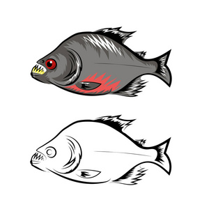 白色背景上分离出的水虎鱼照片