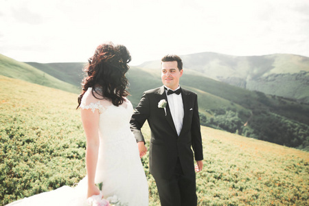 美丽神话般幸福的新娘和时尚新郎阳光明媚迷人的山脉为背景合影
