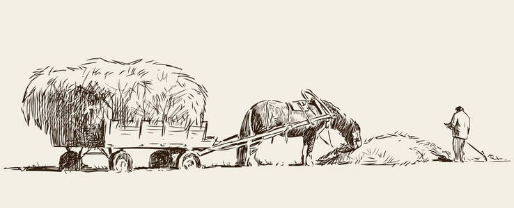 素描的农民收获干草照片