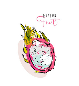 手工绘制的矢量抽象写意纹理的图和异国热带火龙果或孤立的白色背景上