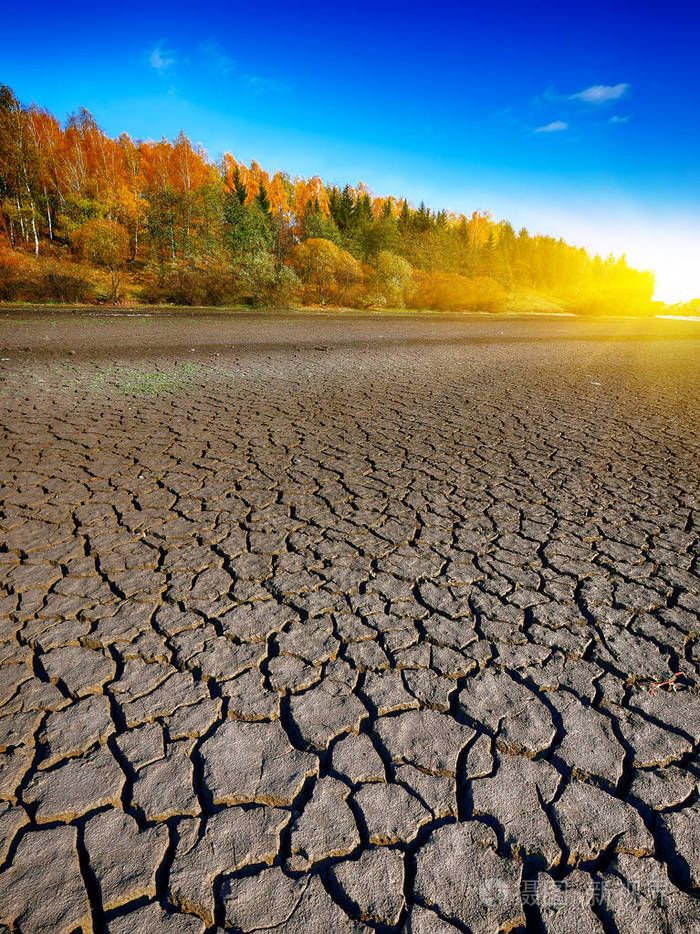 土地干裂的地面