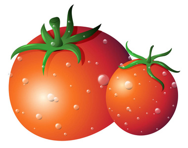 两个新鲜的西红柿，孤立的白色背景上