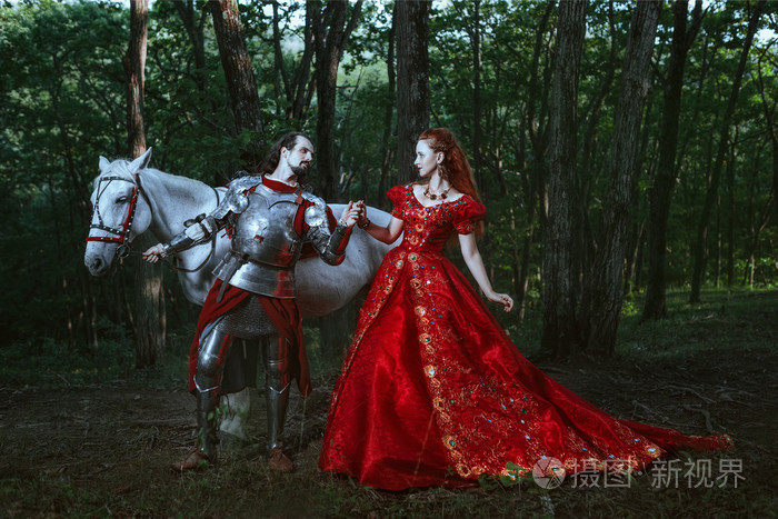 5741*3828px发票合同问题/女王美丽公主骑士与世纪中世纪人查看作者