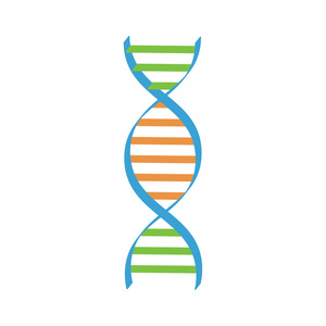 Dna 螺旋矢量