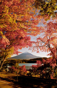 富士山