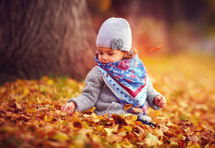 可爱快乐的女孩玩堕落树叶在秋天的公园