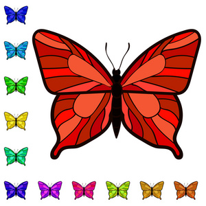 色彩艳丽的蝴蝶的集合