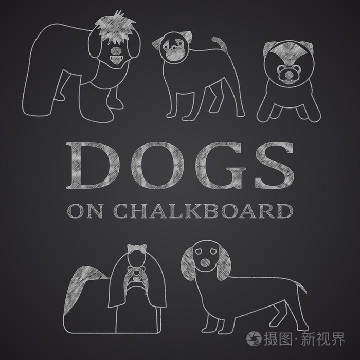 插画 动物 不同的狗画在黑板上.第 1 部分.eps