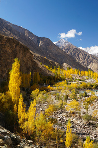 在巴基斯坦北部美丽的 Ghizer 山谷