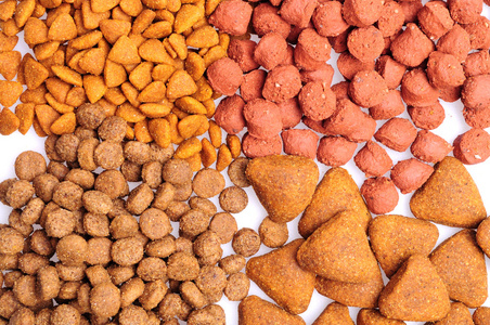 什锦干狗粮把门关上,在白色背景上孤立照片