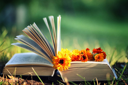 打开的书,与花在草地上照片