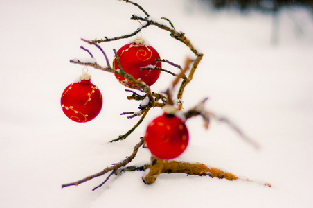 在雪中的红色圣诞球