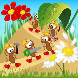 蚂蚁建设者与工具照片