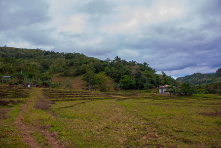 美丽的风景，在多云的天气 稻田，天空有云，山，树，房子。菲律宾内格罗斯岛