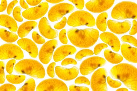 橘丁香是整齐排列在白色背景上