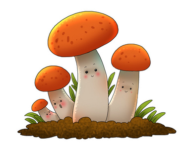 蘑菇森林卡通照片