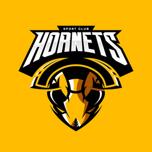 大黄蜂上洋甘菊图片