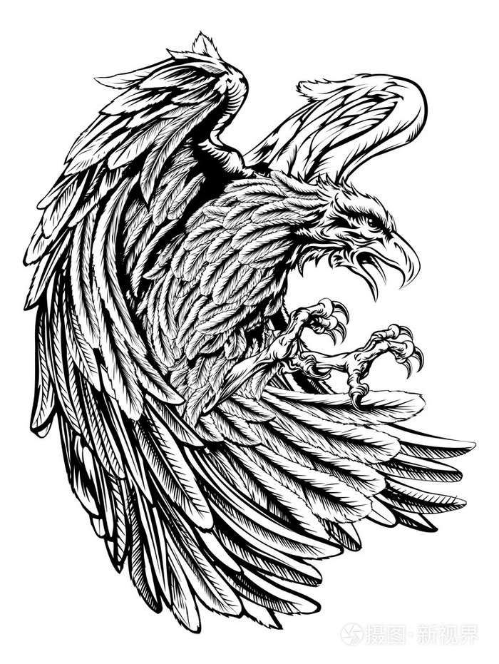 复古风格鹰插画-正版商用图片0dv1rb-摄图新视界