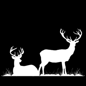 两个鹿躺在草地上树下的剪影照片