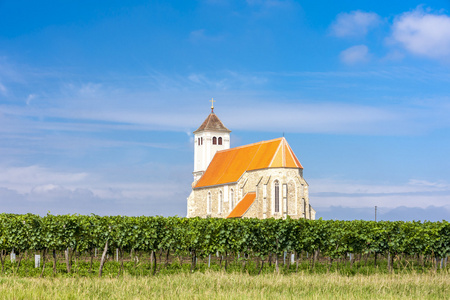 教会与葡萄园，Kirchenberg，低奥地利