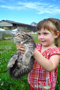 一个可爱的小女孩与小小猫，女孩玩上自然背景的猫的室外肖像
